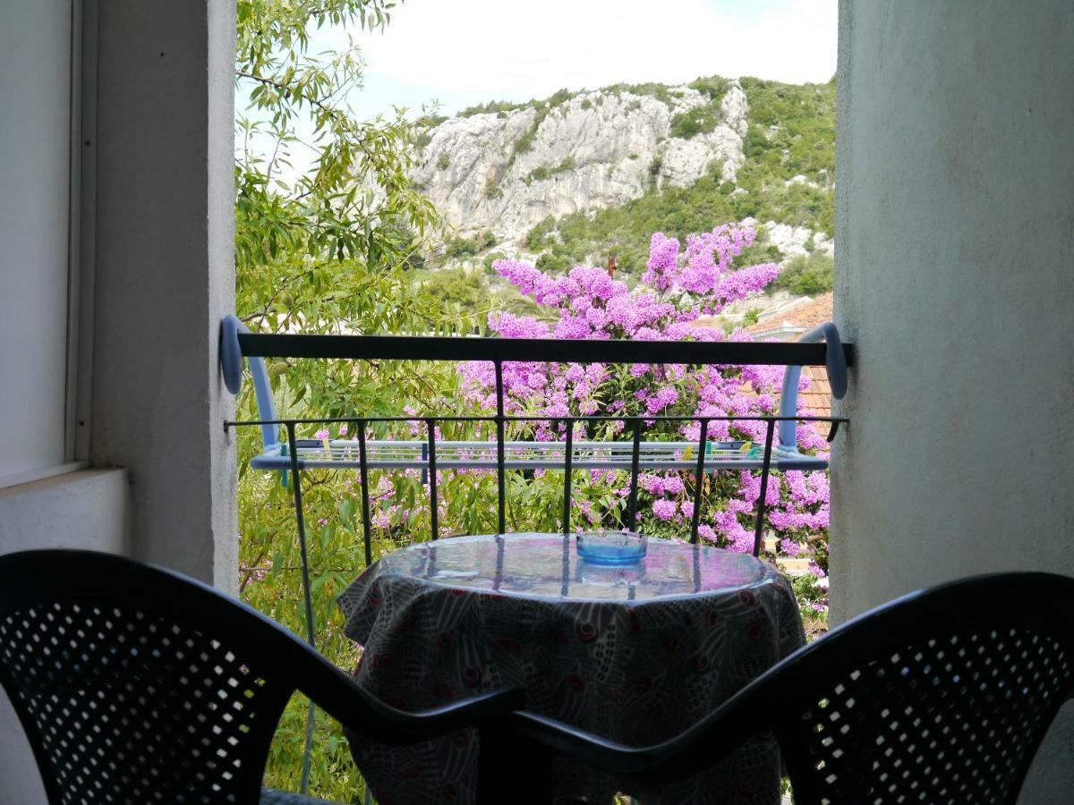 Apartment Dragovic Klek Εξωτερικό φωτογραφία